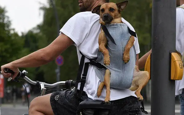 rinkka koiran kuljettamiseen polkupyörällä